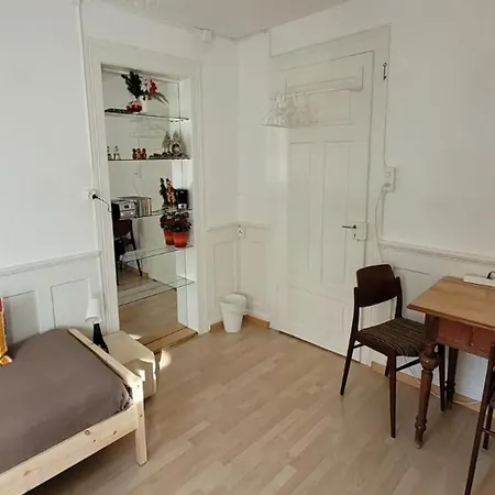 2 Zimmer Zentral-Ruhig Mit Flair Gertrud Schloessli St. Gallen Exterior photo