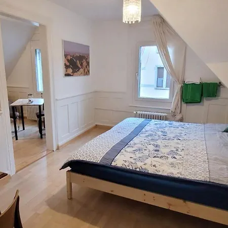 2 Zimmer Zentral-Ruhig Mit Flair Gertrud Schloessli St. Gallen Exterior photo