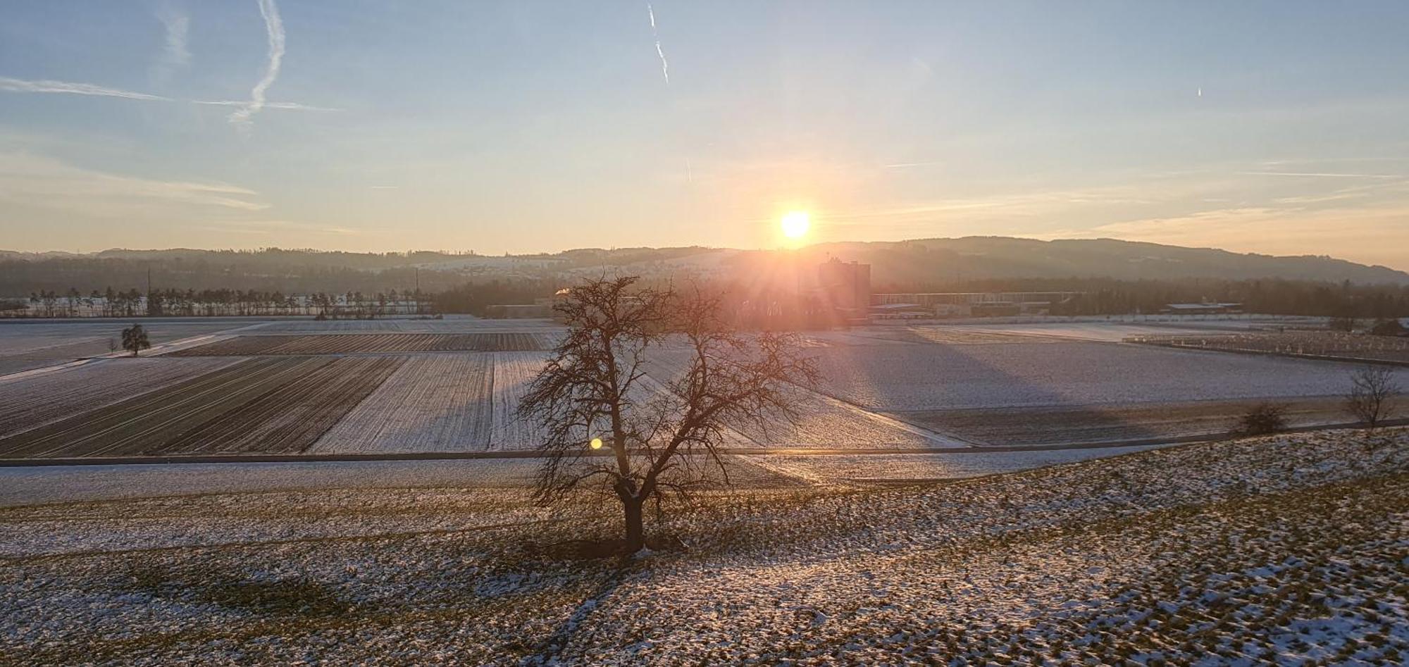 2 Zentral-ruhig Mit Flair Gertrud Schloessli Homestay