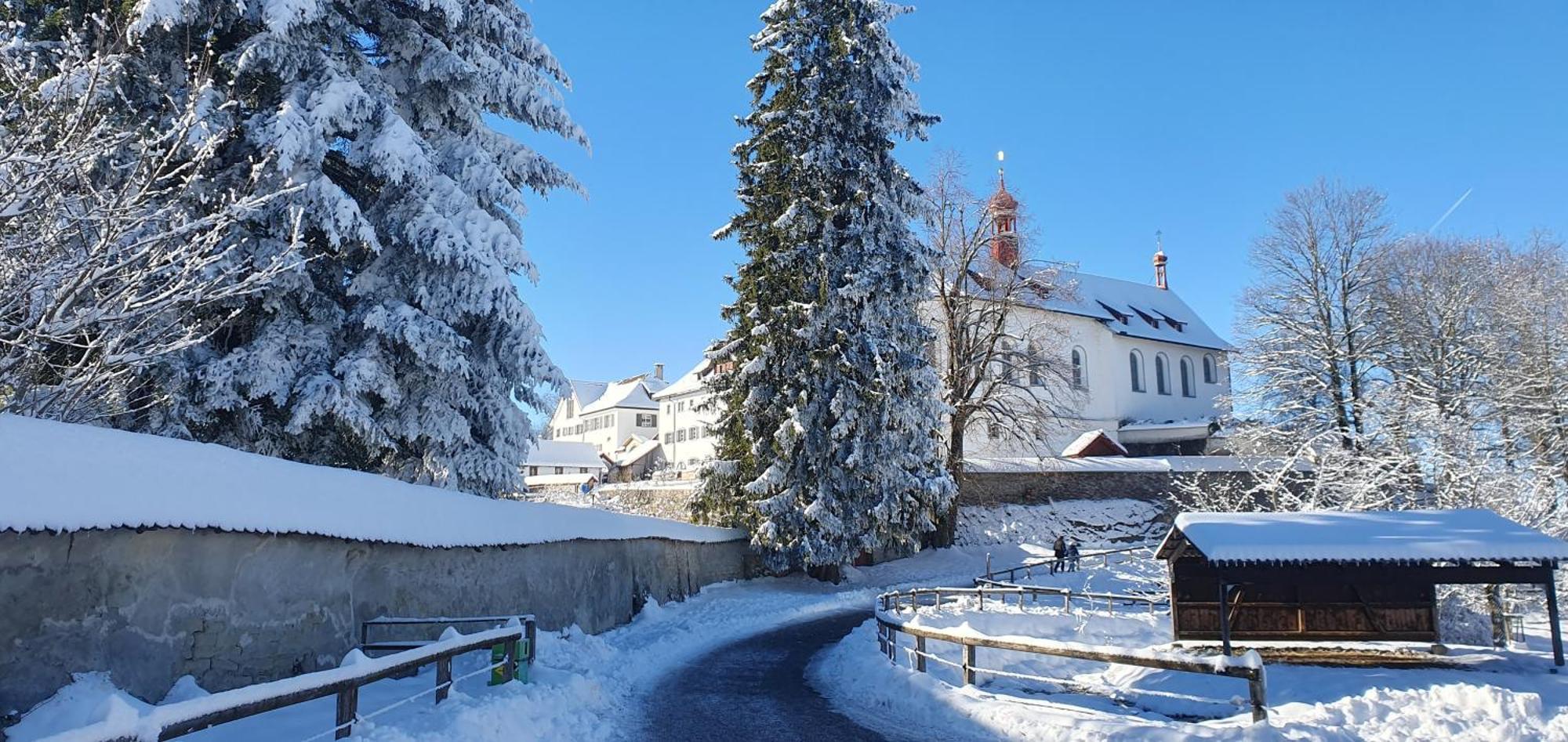 Homestay 2 Zentral-ruhig Mit Flair Gertrud Schloessli