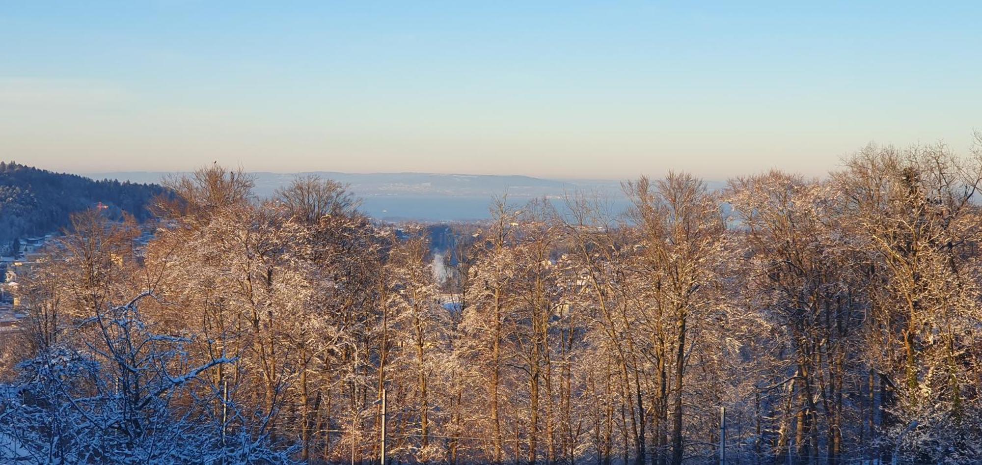 Homestay 2 Zentral-ruhig Mit Flair Gertrud Schloessli *